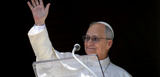 Abtreibung: Papst Leo XIV. nennt Schwangerschaftsabbrüche »Zerstörer des Friedens«