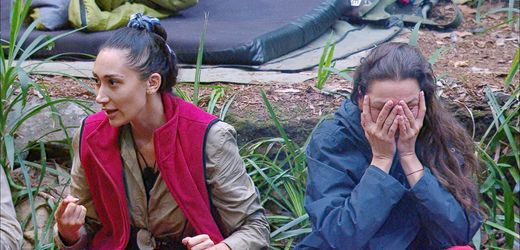 Dschungelcamp Tag 12: Samira gegen Eva, die Schlange häutet sich
