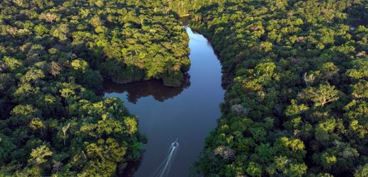 Brasilien: Sieg für Indigene – Privatisierungen am Amazonas gestoppt