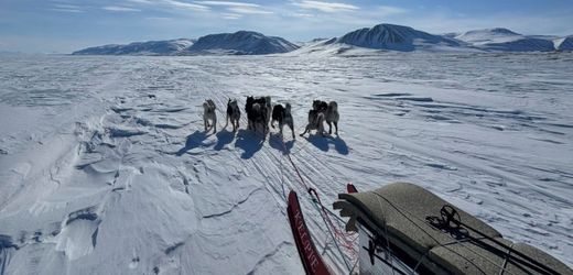 Grönland: Dänemarks Hundeschlittenpatrouille – die Spezialeinheit, über die sich Donald Trump lustig macht