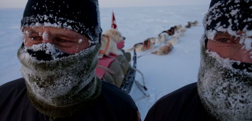 Grönland: Veteranen der Hundeschlitten-Patrouille berichten von Einsätzen bei minus 50 Grad