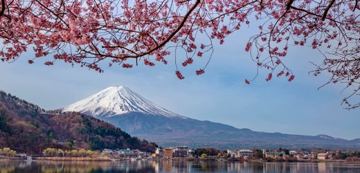 Mount Fuji: Stadt in Japan sagt Kirschblütenfest wegen schlechten Verhaltens der Touristen ab