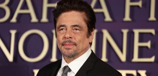 Benicio del Toro: So überzeugte der »One Battle After Another«-Star seine Eltern von der Filmkarriere