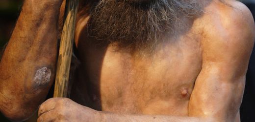 Neandertaler-Männer schliefen mit Menschen-Frauen