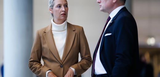 AfD-Skandal: Was wirklich hinter dem Vetternwirtschaft-Skandal der AfD steckt