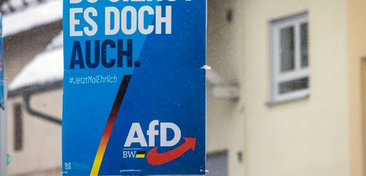 Tübingen: Gruppe attackiert AfD-Wahlhelfer und entwendet Plakate