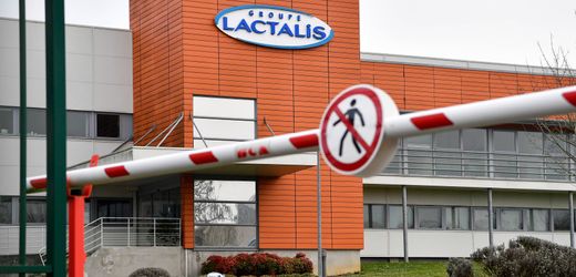 Gorgonzola bei Aldi, Netto und Kaufland: Lactalis ruft Käse wegen Listerien-Verdacht zurück