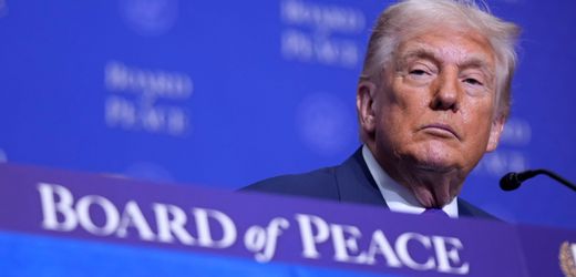 USA – Friedensrat: Donald Trump will ausländische Soldaten in den Gazastreifen schicken