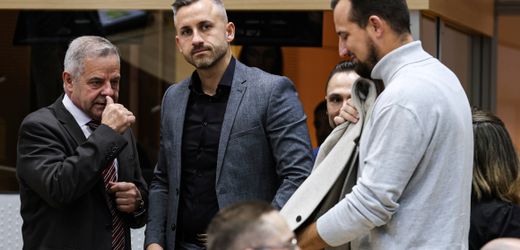 AfD: Hier beschäftigt die Partei Familienangehörige