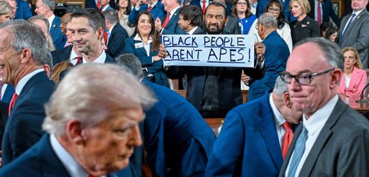 Donald Trump: US-Demokrat Al Green aus Saal geführt – wegen »Schwarze Menschen sind keine Affen«-Schild