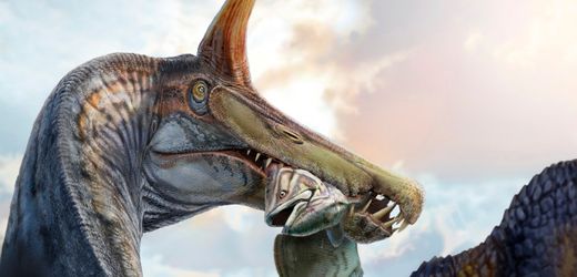 Dinosaurier in der Sahara: Zehn Meter langer »Spinosaurus mirabilis« im Sand gefunden