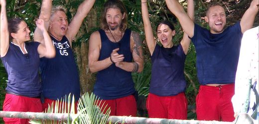 Dschungelcamp Tag 16: Gebrauchsanleitung fürs Postfaktische