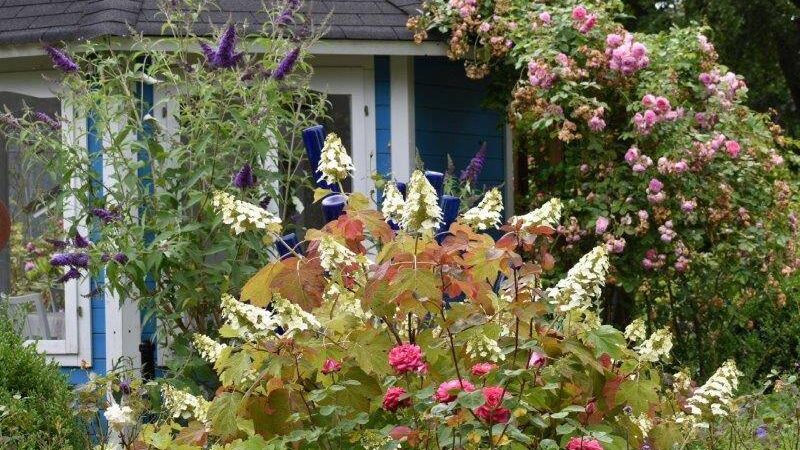 Tag der offenen Gärten: Alpen wird für einen Tag zum Paradies für Hobbygärtner