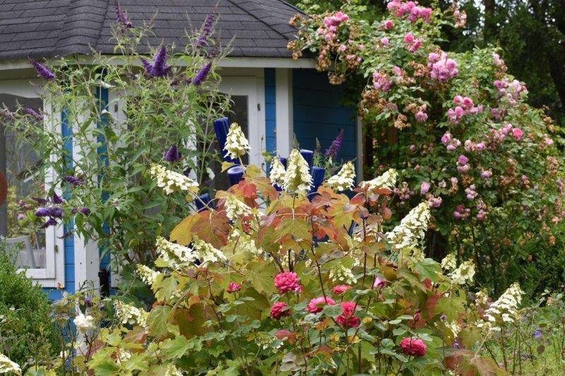 Tag der offenen Gärten: Alpen wird für einen Tag zum Paradies für Hobbygärtner