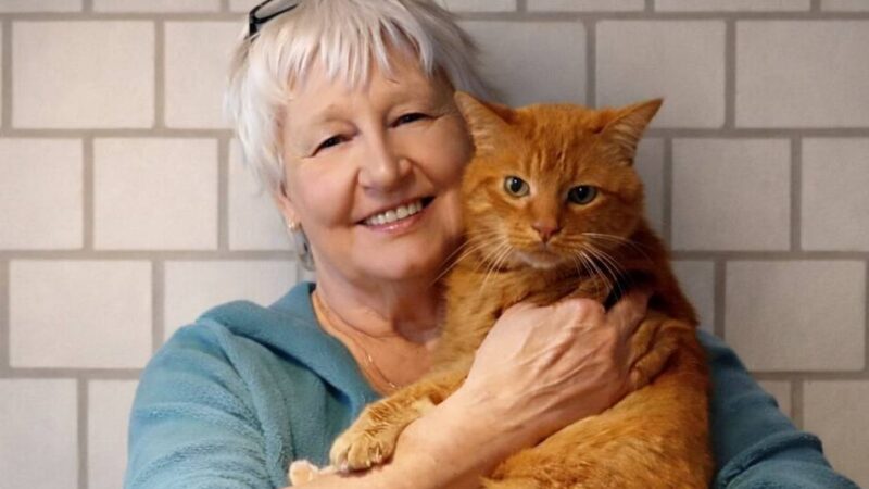 Viersenerin schreibt Märchenbuch: Hommage an einen roten Kater