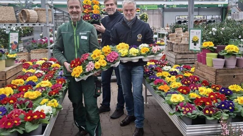 Langenfeld: Lions verkaufen Primeln für den guten Zweck