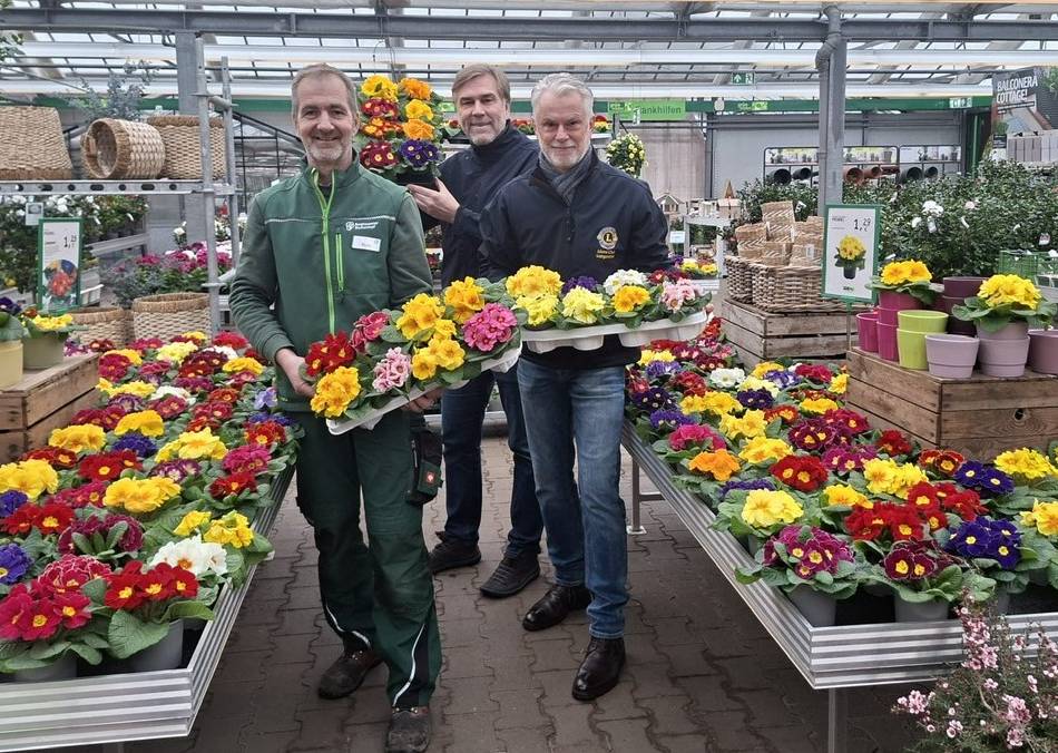 Langenfeld: Lions verkaufen Primeln für den guten Zweck