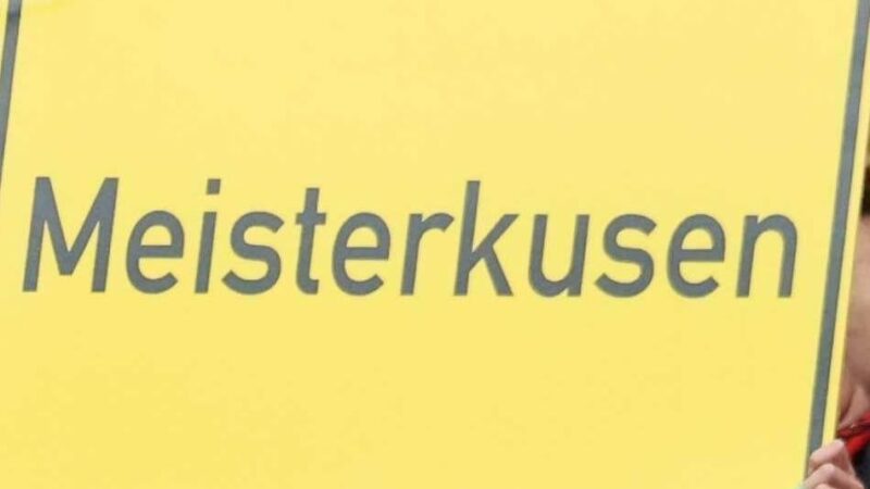 Meinungssuche in Leverkusen: Online-Umfrage für Jugendliche in der Stadt startet