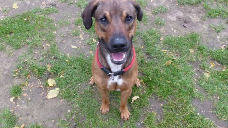 Tier der Woche: Ein Powerpaket für Frauen