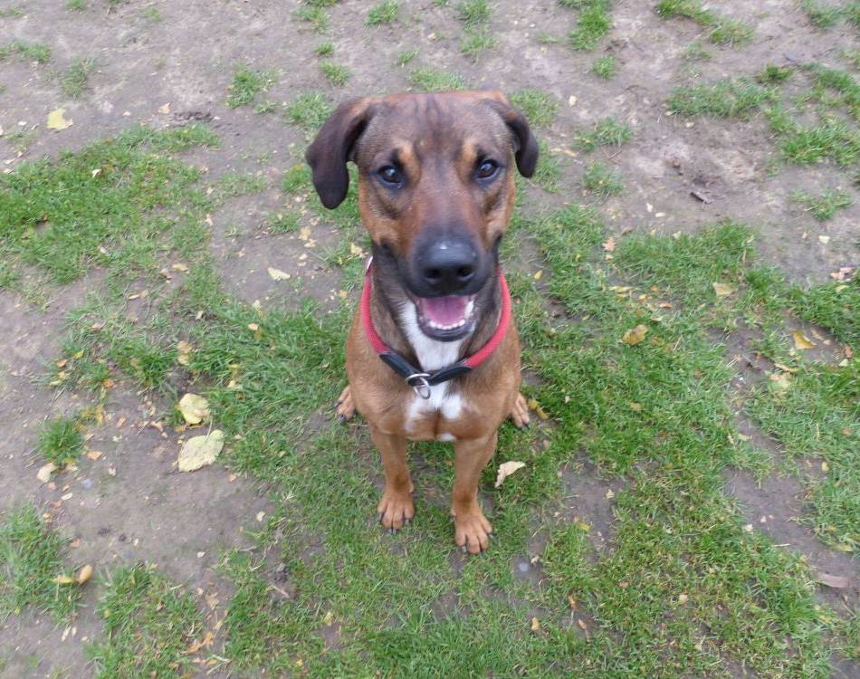 Tier der Woche: Ein Powerpaket für Frauen