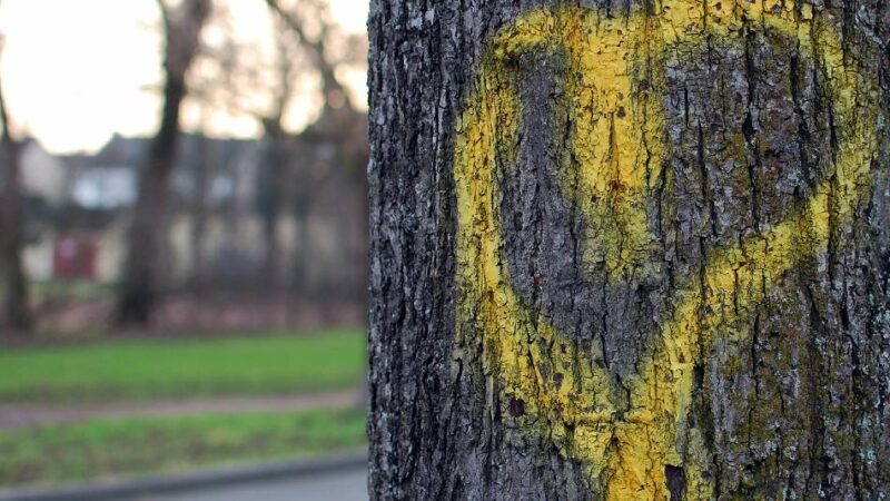 Zum Valentinstag: Ausgeh-Tipps für Verliebte im Kreis Kleve