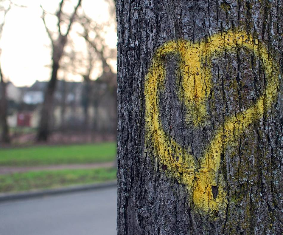 Zum Valentinstag: Ausgeh-Tipps für Verliebte im Kreis Kleve