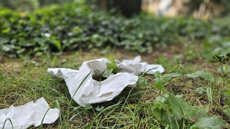 Antrag der CDU: Müllsauger sollen in Viersen eingesetzt werden