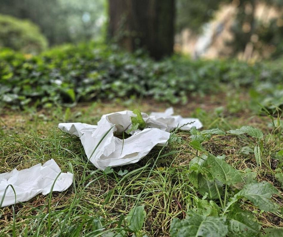 Antrag der CDU: Müllsauger sollen in Viersen eingesetzt werden