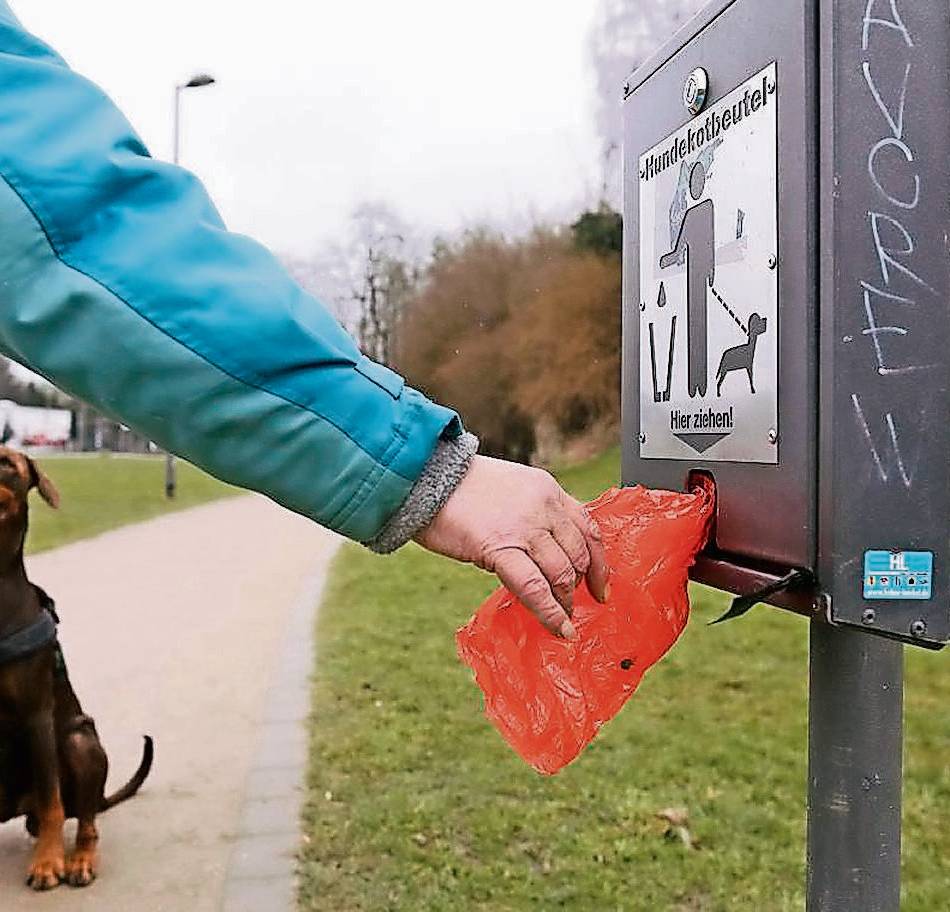 Hundekot war Thema im Ausschuss: „Rote Tütchen“ auf Rommerskirchens Gehwegen