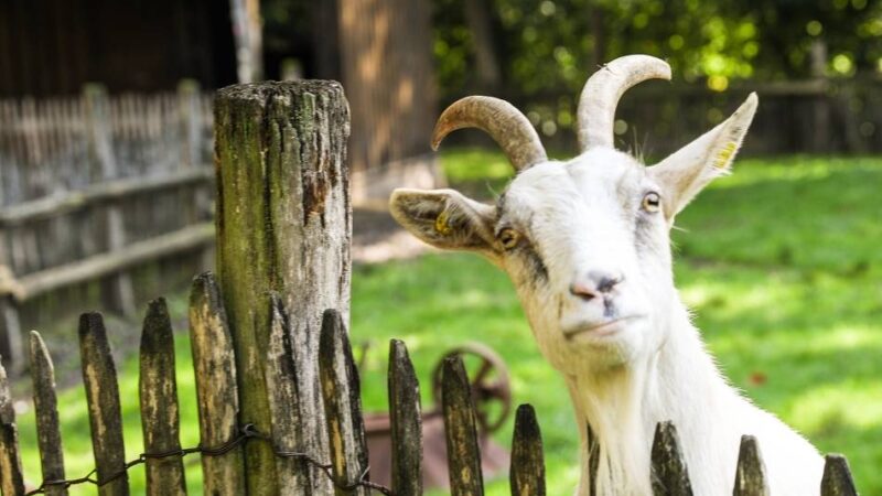 Ausflüge und Events – Alternativen zum Karneval: Was Karnevalsmuffel im Rhein-Kreis Neuss unternehmen können