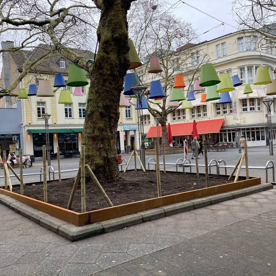 Umbau an der Rheinstraße: Baumscheiben-Vergrößerung in Krefeld bringt mehrere Vorteile