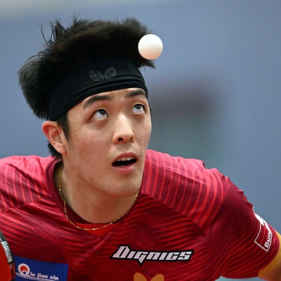 Tischtennis-Champions-League: Showdown am Staufenplatz: Borussia vor dem nächsten Schritt Richtung Final Four