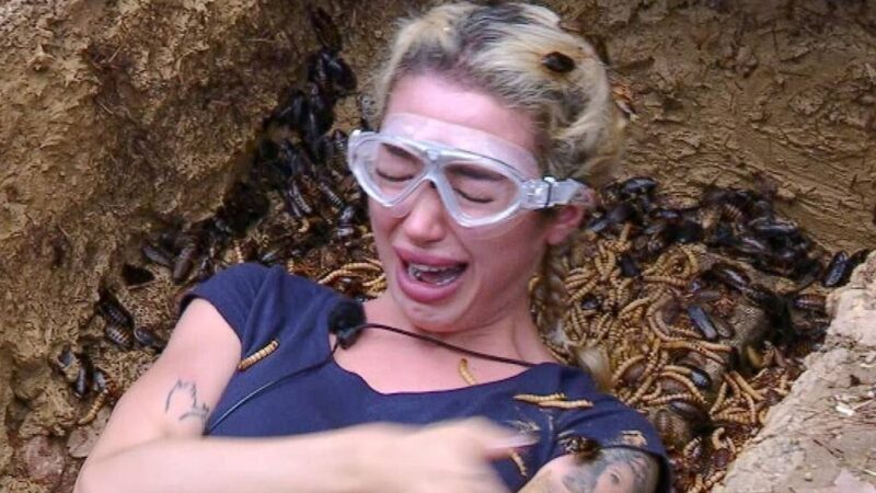 Neusser Tierschützer über RTL-Dschungelcamp 2026: „Was ist mit der Würde der Tiere?“