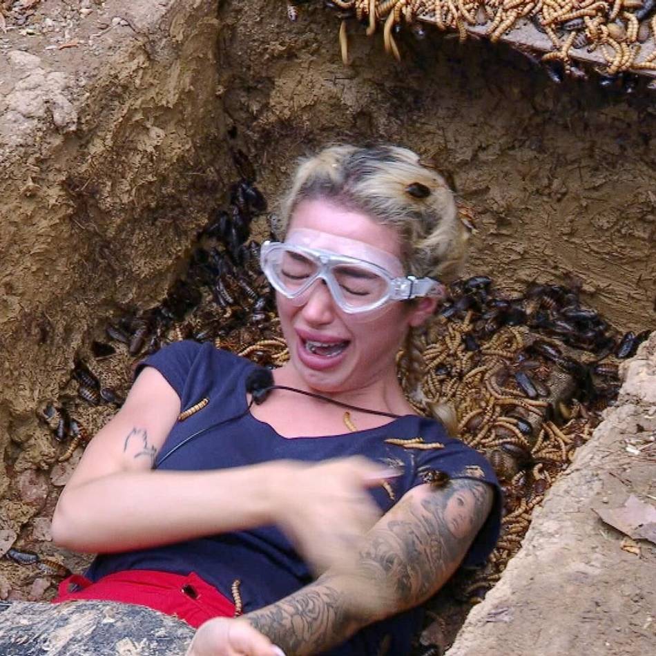 Neusser Tierschützer über RTL-Dschungelcamp 2026: „Was ist mit der Würde der Tiere?“