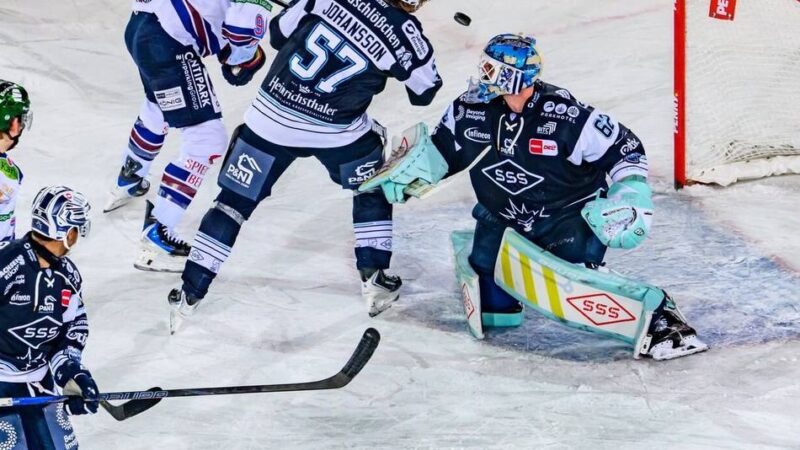 DEL-Neuling muss wohl wieder runter: Dresdner Eislöwen stehen als sportlicher Absteiger fest