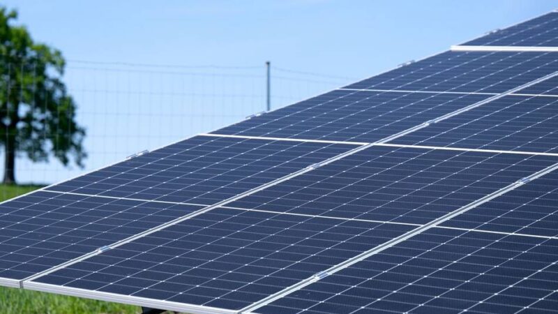 Beratungen für Haushalt 2026: Grüne wollen zweiten Solarpark für Dormagen