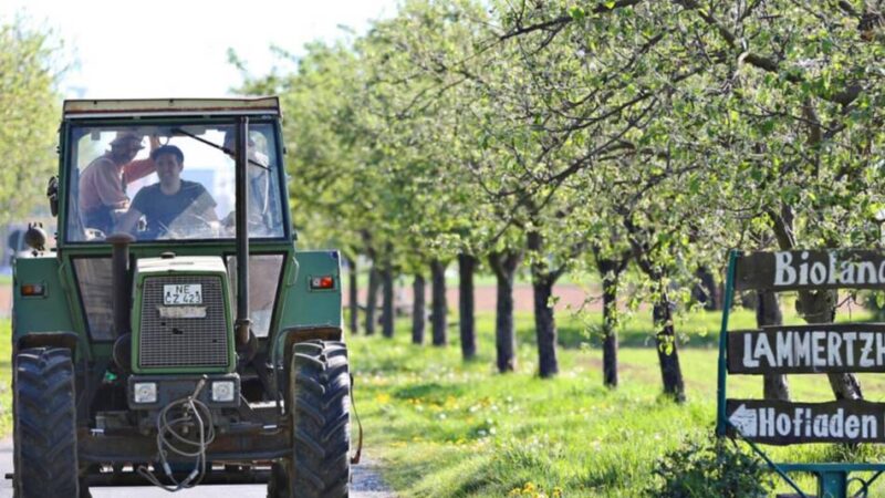 Lammertzhof in Büttgen sucht Paten: „Jeder Baum zählt“