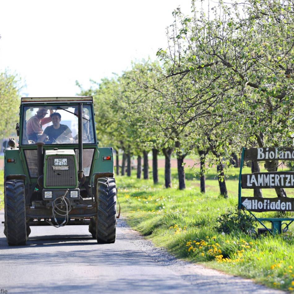 Lammertzhof in Büttgen sucht Paten: „Jeder Baum zählt“