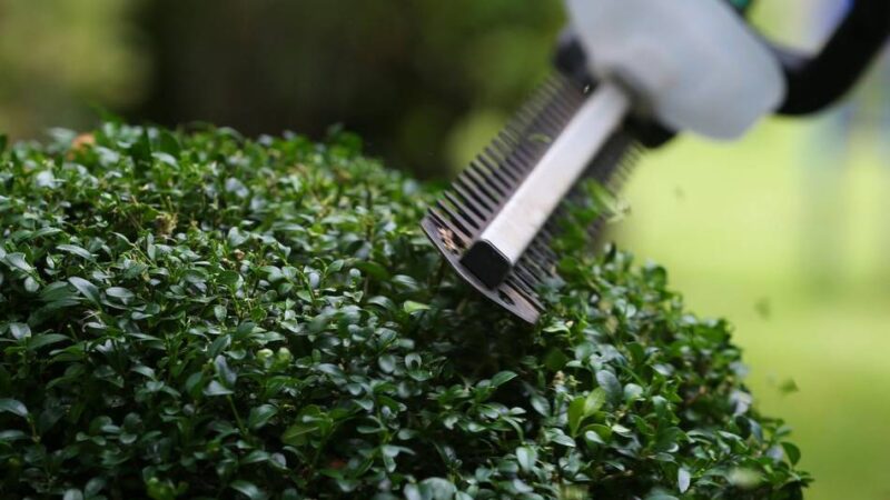 Rhein-Kreis Neuss erinnert an Schnittverbot: Ab März müssen Heckenschere und Axt im Schuppen bleiben