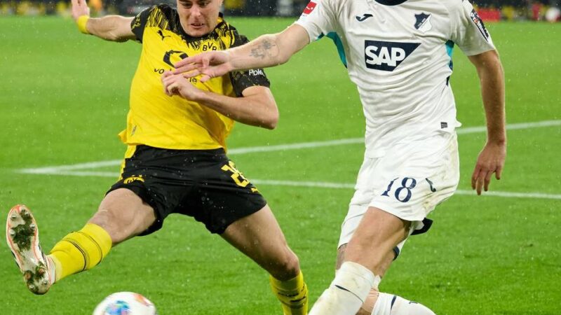 BVB-Profi wird zur Tauschware: Chelsea-Umgang mit Anselmino steht als Sinnbild für den Transferirrsinn