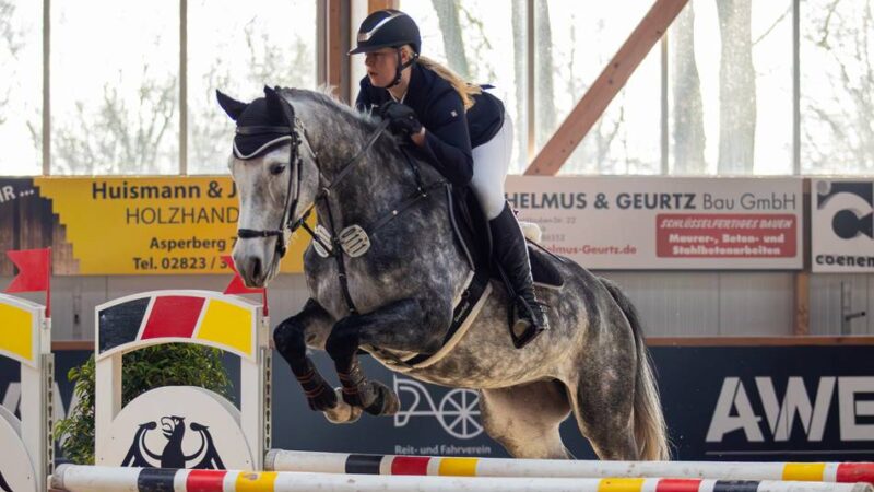 S-Springen mit Stechen am Samstag: Blaulicht in Asperden – das Festival der Springreiter