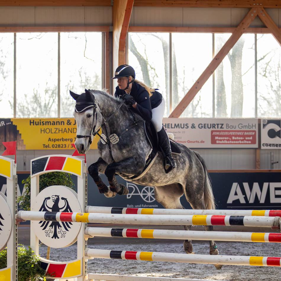 S-Springen mit Stechen am Samstag: Blaulicht in Asperden – das Festival der Springreiter