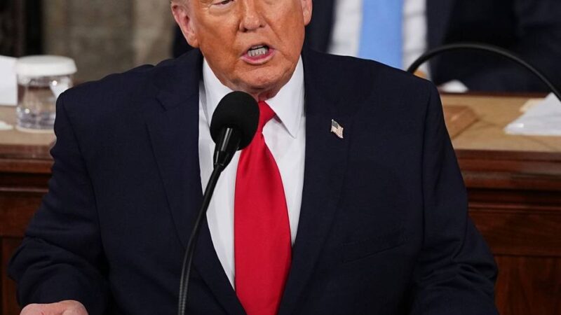 Rede zur Lage der Nation: Trump gibt Demokraten Schuld an hohen Preisen in den USA