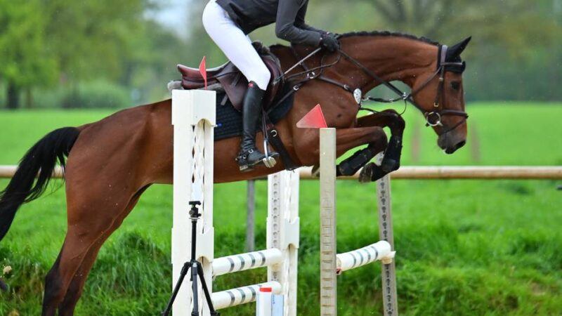 Reit- und Fahrverein Xanten: Neuer Vorstand um Christian Strunk strahlt Zuversicht aus