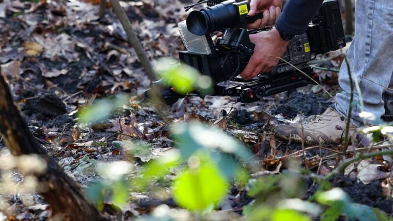 Tote lag in einem Waldstück: Nach Fund von Frauenleiche in Duisburg – Polizei nimmt Tatverdächtigen fest