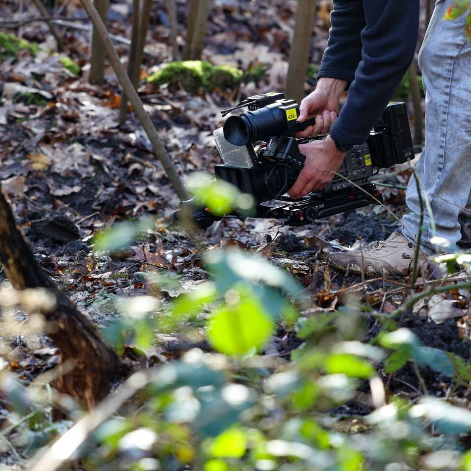 Tote lag in einem Waldstück: Nach Fund von Frauenleiche in Duisburg – Polizei nimmt Tatverdächtigen fest