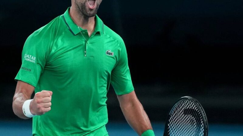 Finale der Australian Open: Dank an die Zweifler – Djokovic steht in Melbourne vor der Krönung