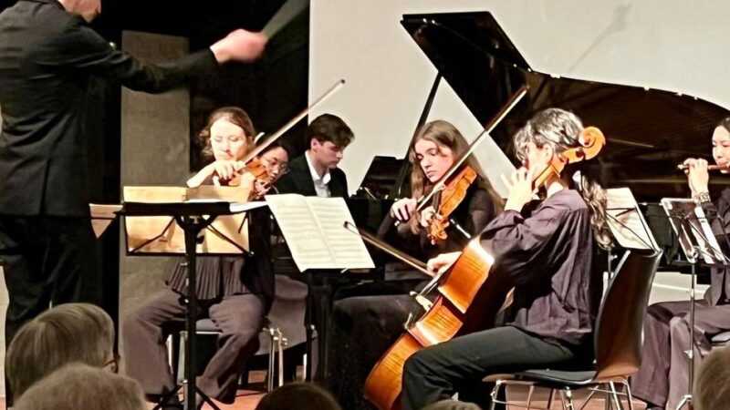 Kultur in Ratingen: Karneval der Tiere bringt Publikum zum Schmunzeln