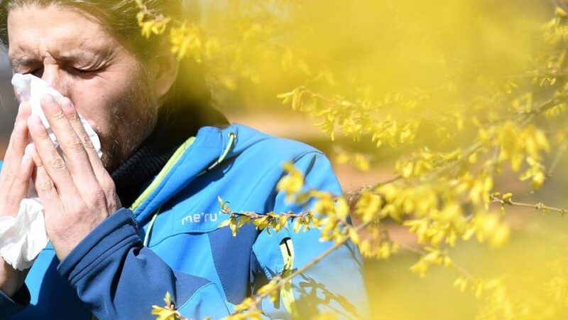 Pollenflug in Mönchengladbach: Die Heuschnupfensaison hat begonnen