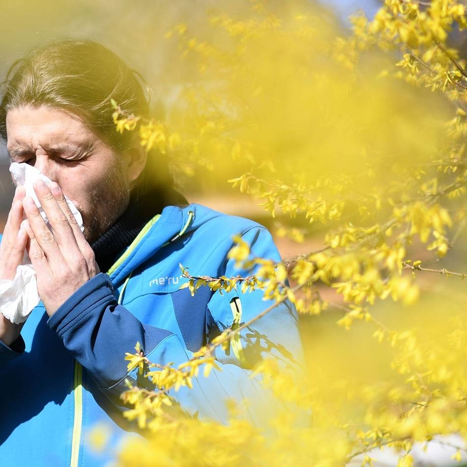 Pollenflug in Mönchengladbach: Die Heuschnupfensaison hat begonnen